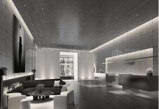 杭州女貞造型樹價格