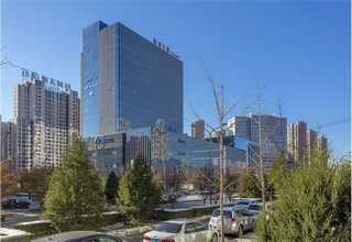 湖北高矯頑力釤鈷材料