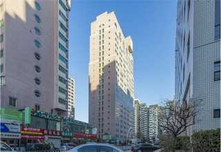 山東油漆桶塑料手提扣廠家