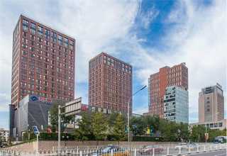 廣州送禮用特曲白酒招商