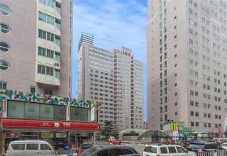 永春水泥多孔磚多少錢