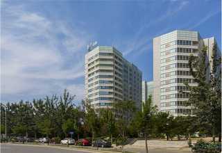 深圳高頻電刀鎢針電極廠家