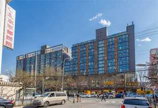 山西精華乳液推薦